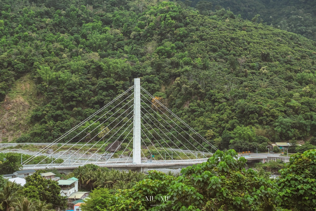 知本天山農場｜台東隱藏版景點，金針花海盛開宛如金黃地毯鋪滿整片，賞花吃花喝茶一次滿足