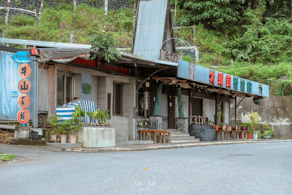 知本天山農場｜台東隱藏版景點，金針花海盛開宛如金黃地毯鋪滿整片，賞花吃花喝茶一次滿足