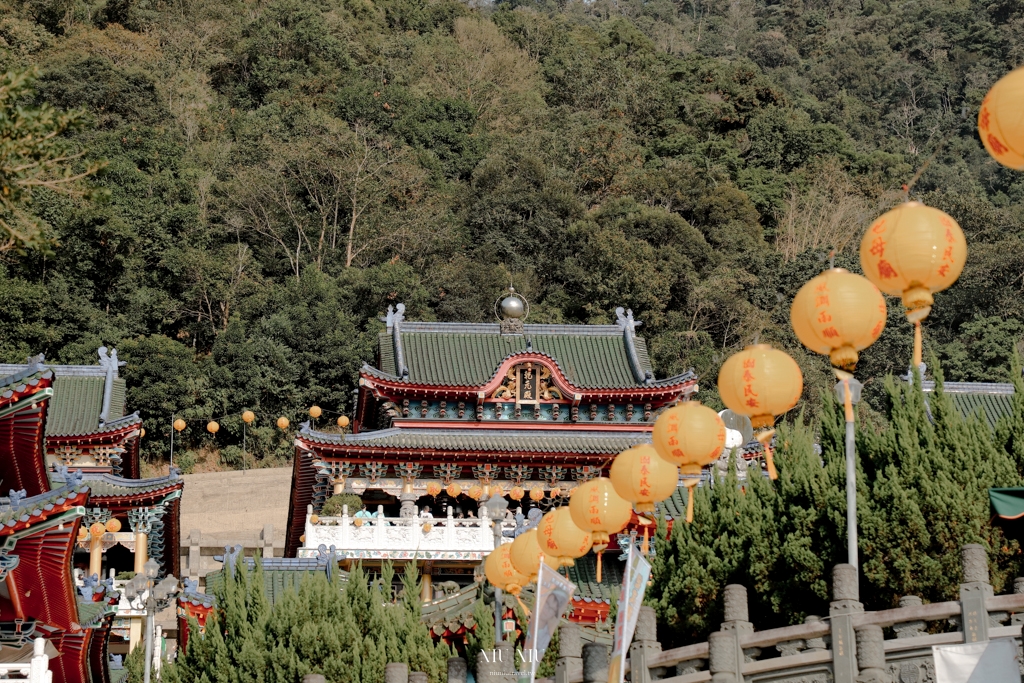 南投埔里美食｜天子舒芙蕾SkySon：埔里伴手禮首選，網路人氣伴手禮舒芙蕾，療癒身心的辦公室下午茶點心