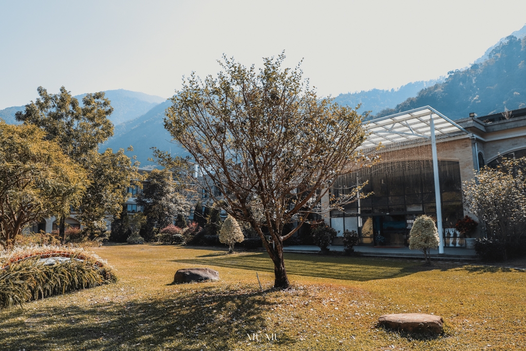 南投住宿推薦｜台一生態休閒農場(楓樺台一渡假村)：住進萬坪森林系落羽松秘境，享限量採草莓、蔬菜，體驗農夫採果樂趣