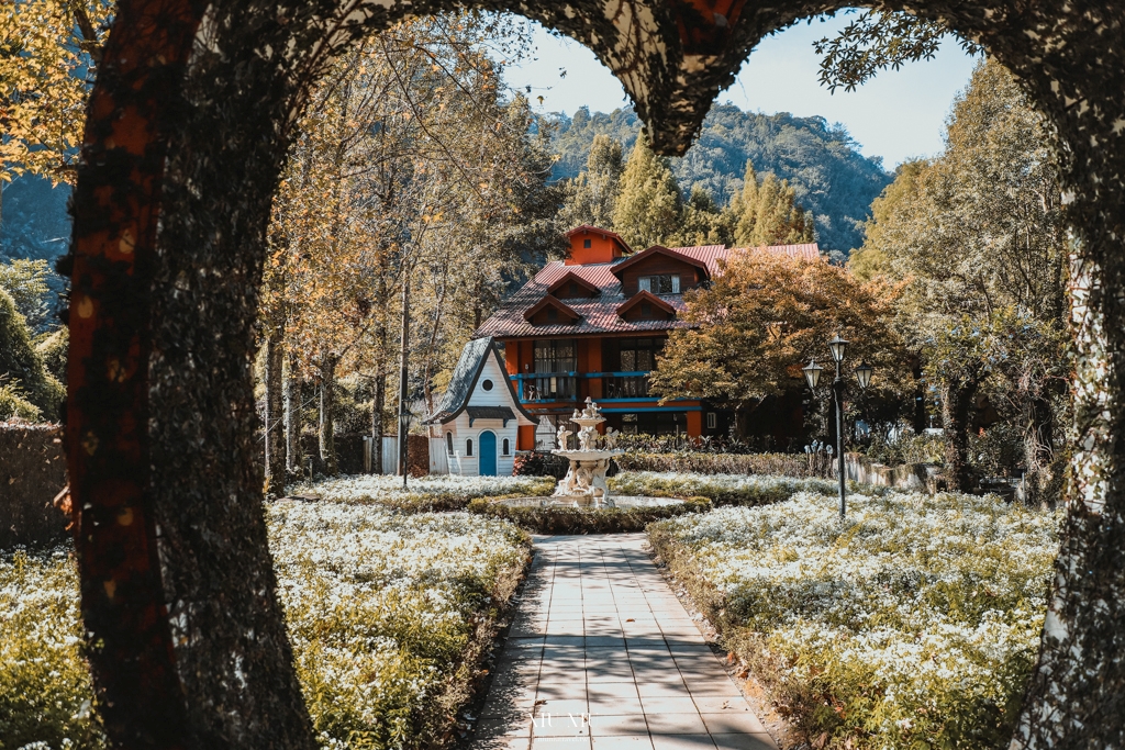 南投住宿推薦｜台一生態休閒農場(楓樺台一渡假村)：住進萬坪森林系落羽松秘境，享限量採草莓、蔬菜，體驗農夫採果樂趣