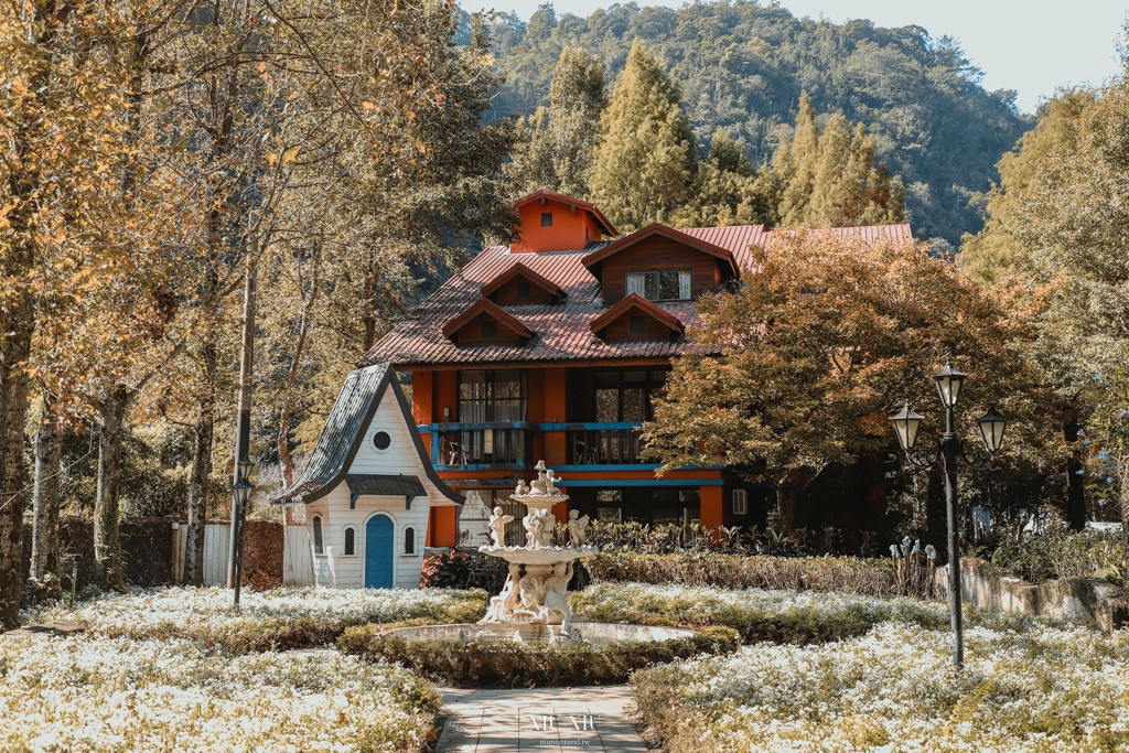 南投住宿推薦｜台一生態休閒農場(楓樺台一渡假村)：住進萬坪森林系落羽松秘境，享限量採草莓、蔬菜，體驗農夫採果樂趣