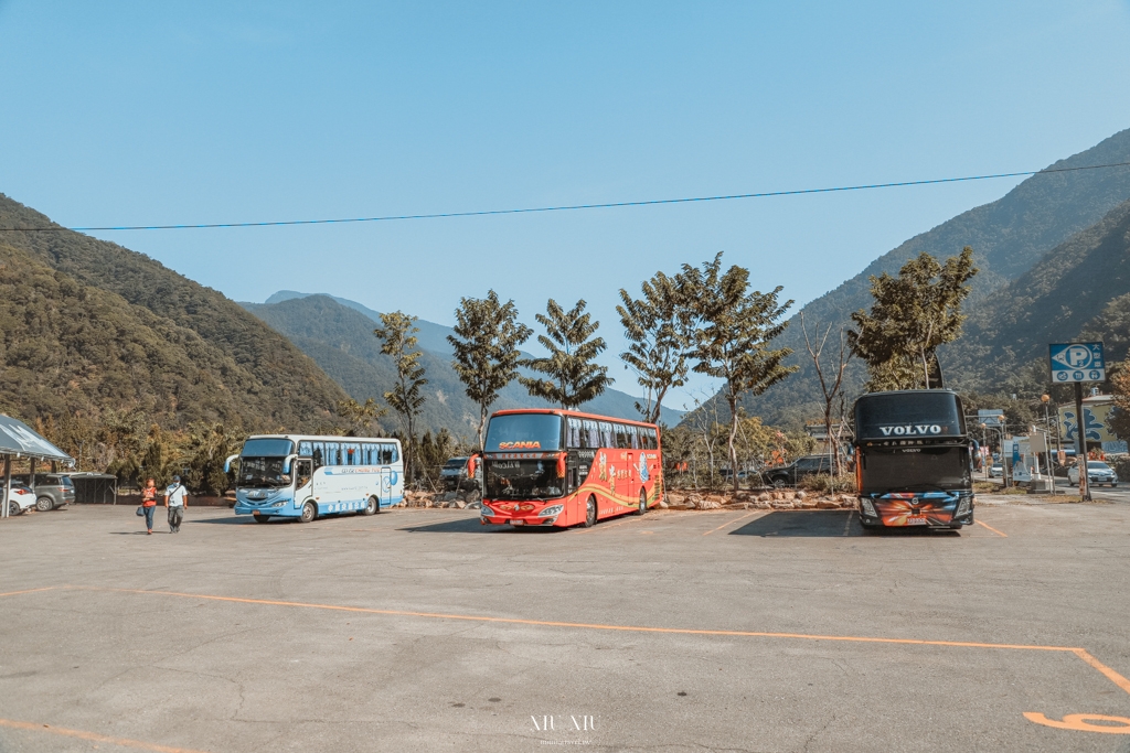 南投住宿推薦｜台一生態休閒農場(楓樺台一渡假村)：住進萬坪森林系落羽松秘境，享限量採草莓、蔬菜，體驗農夫採果樂趣