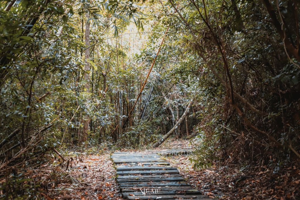 台東大武達仁｜兩天一夜南迴永續旅行，三間部落無菜單料理餐廳，千年神榕森林步道，收不到訊號的植物園區，入住聽著海聲的永續旅宿