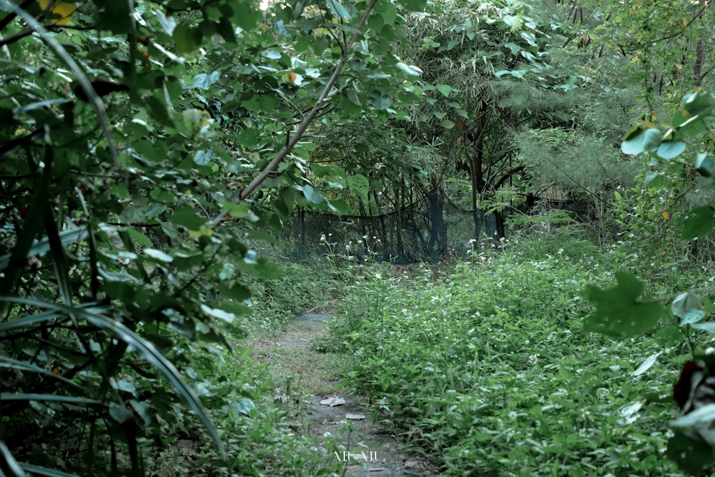 台東大武民宿｜東方雲民宿：阿朗壹古道住宿推薦，聽海浪聲入眠，含導覽行程的環保永續旅宿