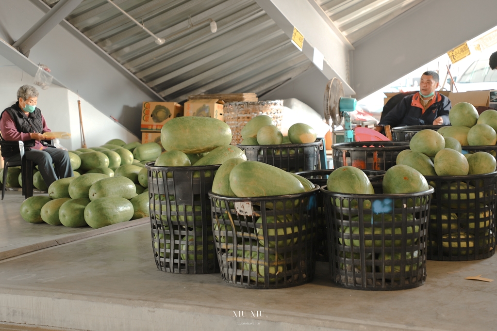 台南新景點｜台南新化果菜市場，全台首座梯田造型的綠建築，環景步道超美超好拍