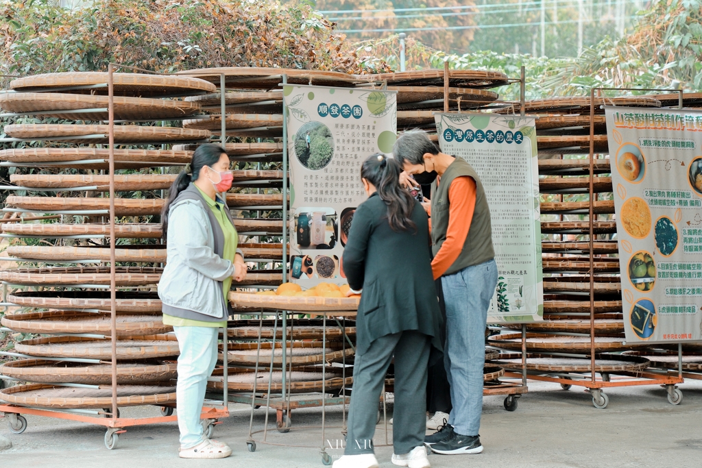 六龜深度之旅｜六龜山茶故事館，順發茶園山茶酸柑茶，蘊藏山林高處的珍貴台灣原生山茶，體驗品茶從這裡開始