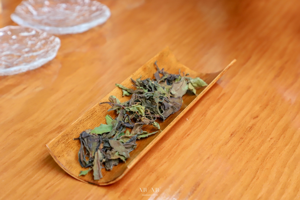 六龜深度之旅｜六龜山茶故事館，順發茶園山茶酸柑茶，蘊藏山林高處的珍貴台灣原生山茶，體驗品茶從這裡開始