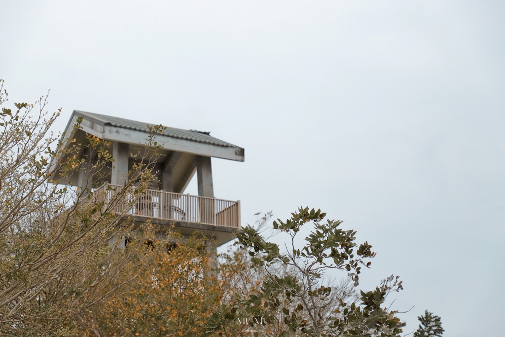 伊塔原旅×林精哲特展｜2023燻 野餐桌，一月一野餐桌計畫，美食串連在地文化，來台東就是要這樣吃