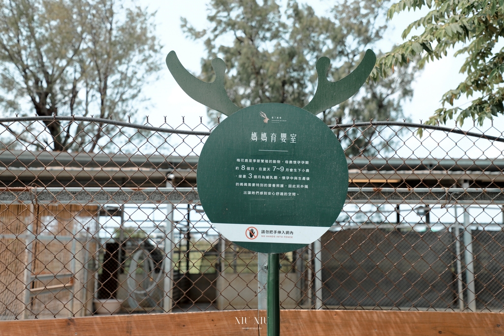 鹿境梅花鹿生態園區｜墾丁最夯的親子景點半日遊，零距離撫摸梅花鹿，還有超萌的水豚君