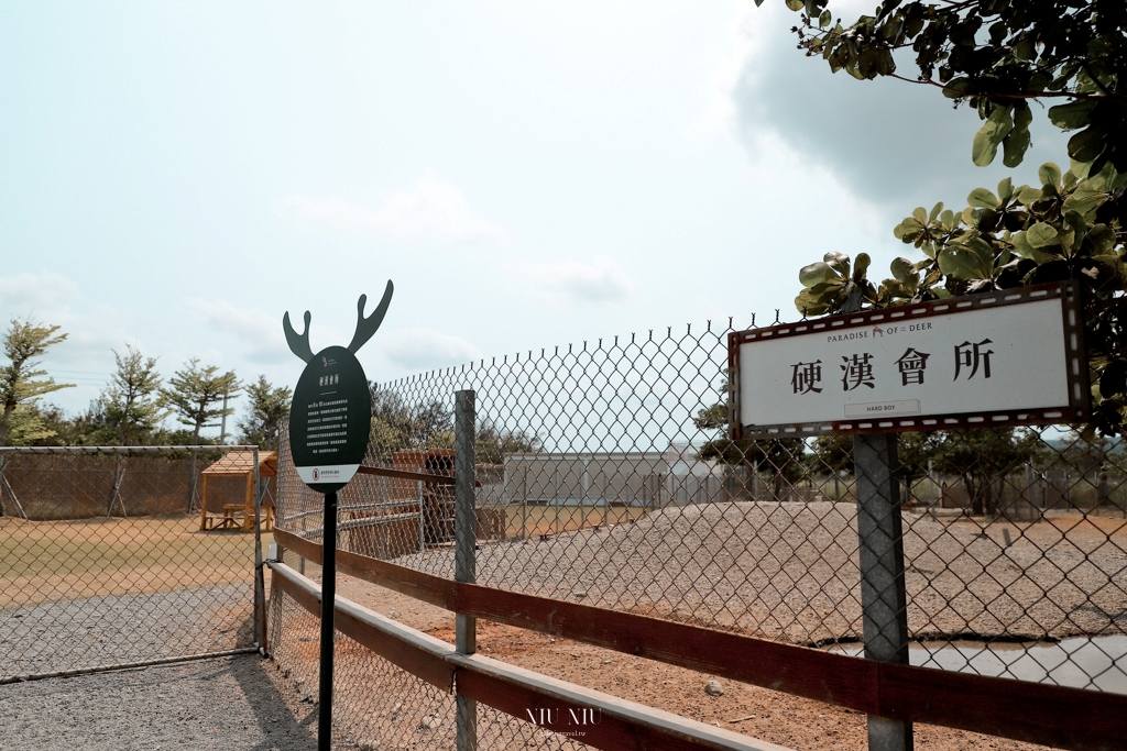 鹿境梅花鹿生態園區｜墾丁最夯的親子景點半日遊，零距離撫摸梅花鹿，還有超萌的水豚君