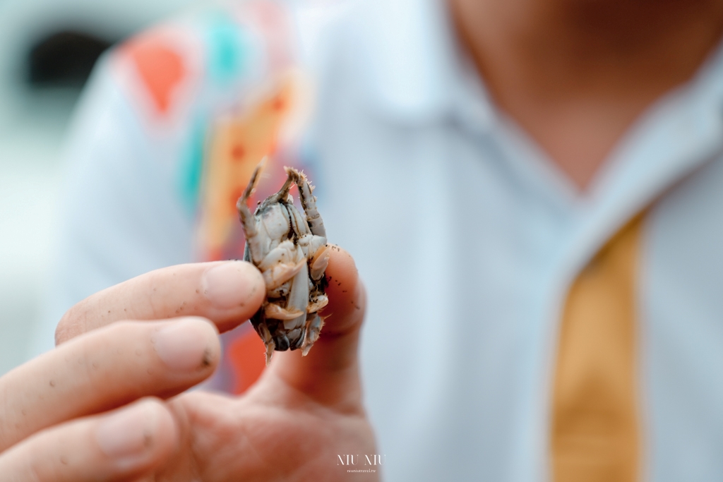 一烈！海派過生活｜走進長光部落，跟著「三個男人」去海邊，體驗阿美族文化私房行程，慢享「小阿姨野花」海人家部落睡一晚