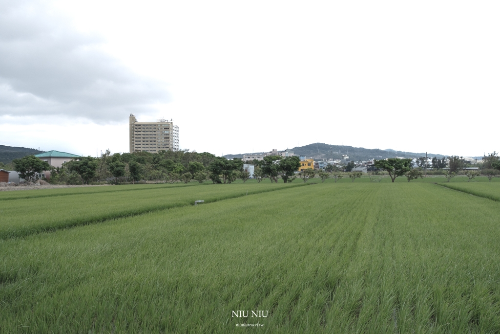 25度C日光｜全新美到翻墾丁包棟電梯民宿：住進稻香景觀房蒐藏一年四季，佔地433坪豪宅式渡假別墅villa越夜越美，續住早餐真心超愛