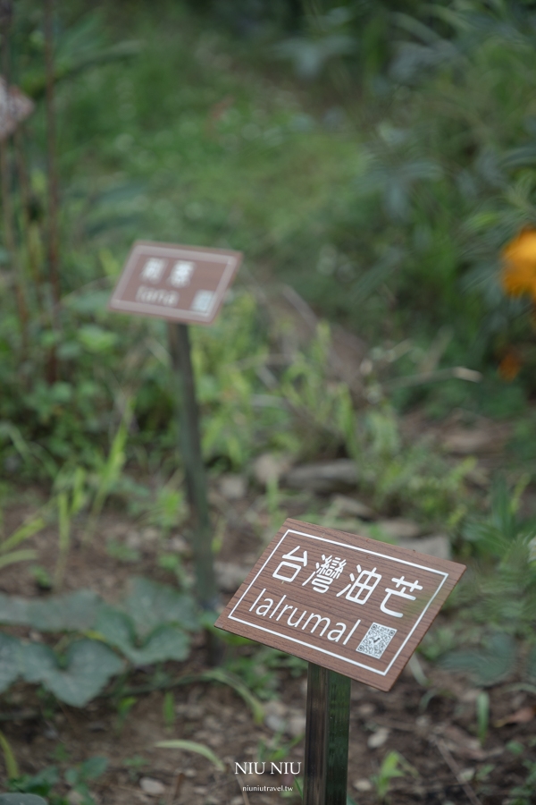 屏東霧台一日遊｜神山部落廚藝學校永續遊程，魯凱族服體驗/大地共食風味餐/天然蜂蠟布手作體驗/傳統文化體驗/神山瀑布巡禮，深入部落旅遊新玩法