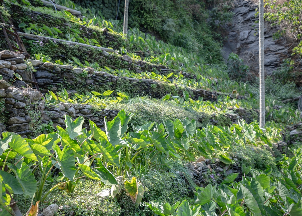 屏東霧台一日遊｜神山部落廚藝學校永續遊程，魯凱族服體驗/大地共食風味餐/天然蜂蠟布手作體驗/傳統文化體驗/神山瀑布巡禮，深入部落旅遊新玩法