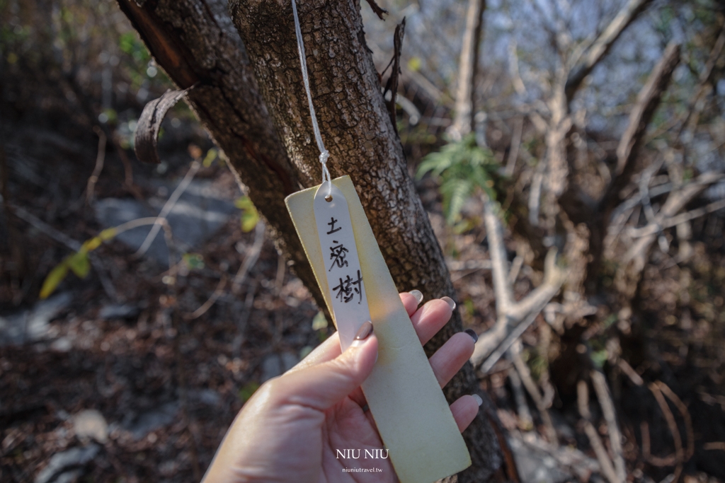 屏東霧台一日遊｜神山部落廚藝學校永續遊程，魯凱族服體驗/大地共食風味餐/天然蜂蠟布手作體驗/傳統文化體驗/神山瀑布巡禮，深入部落旅遊新玩法