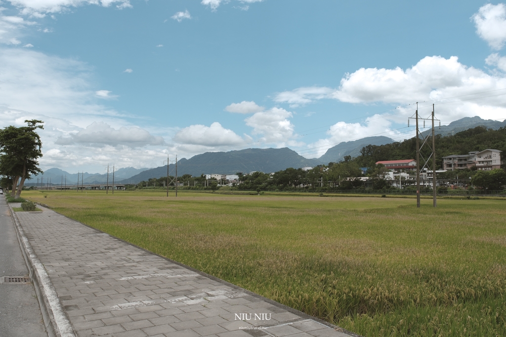 台東池上心繫山嵐｜氛圍感爆棚的侘寂風格旅宿空間，來池上最推薦的心靈放鬆住所，在房內吃早餐就能擁抱山嵐稻穗美景。台東民宿/池上民宿/台九線住宿推薦