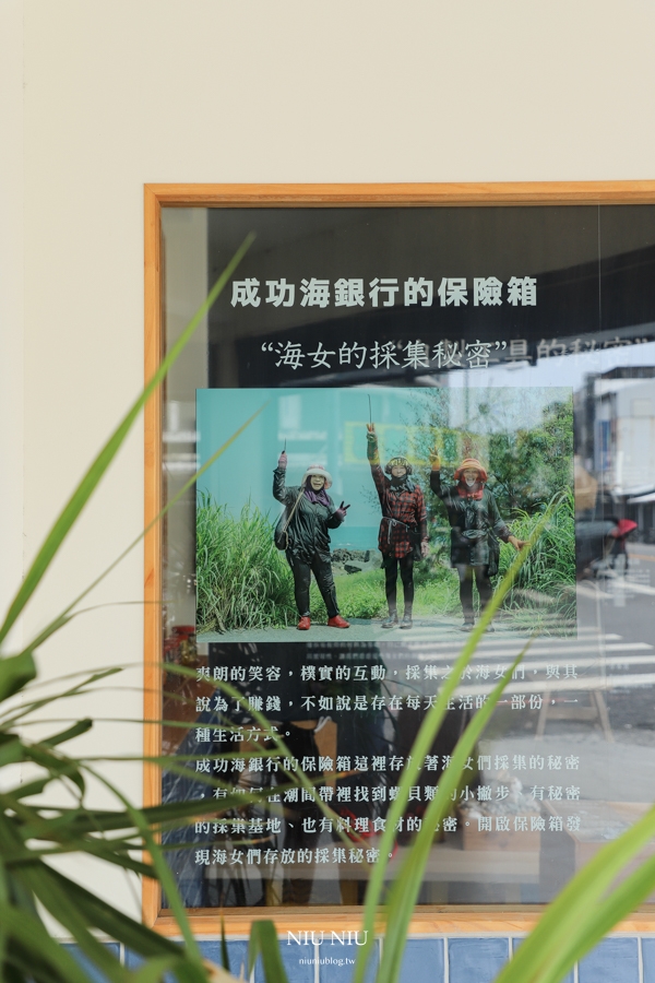 成功海銀行｜台東成功美食，進來土地銀行吃海味套餐，轉角遇見成功鎮漁業文化(含最新菜單)