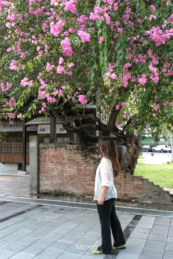 台中火車站景點｜中區一日遊行程安排，九個周邊景點散步路線，沒有交通工具也可以輕鬆抵達