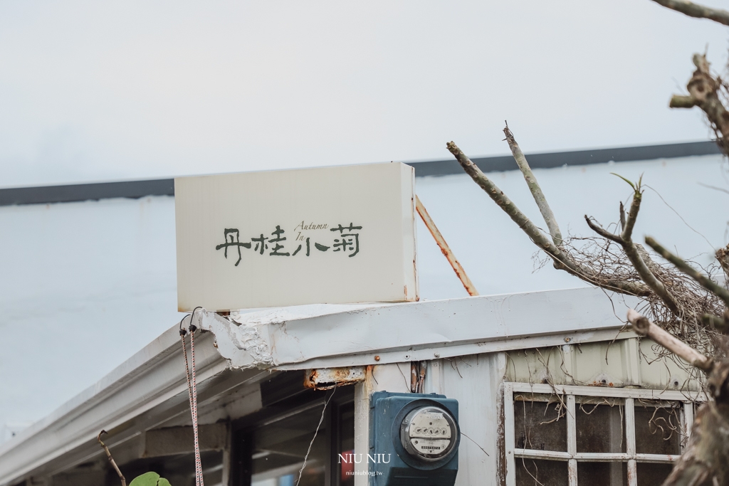 墾丁寵物友善咖啡廳｜AUTUMN.in丹桂小菊，菊式經典餐手工水餃一吃就上癮，連外國人都超愛的漁夫海鮮沙拉，中餐下午茶一次滿足(含最新季節菜單)