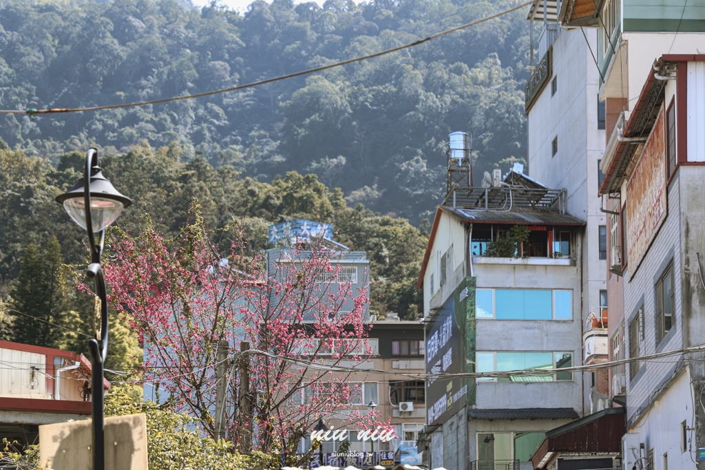 日月潭晶澤會館｜伊達邵住宿推薦，全湖景雙人浴缸景觀套房，一下樓就可以搭船逛伊達邵老街