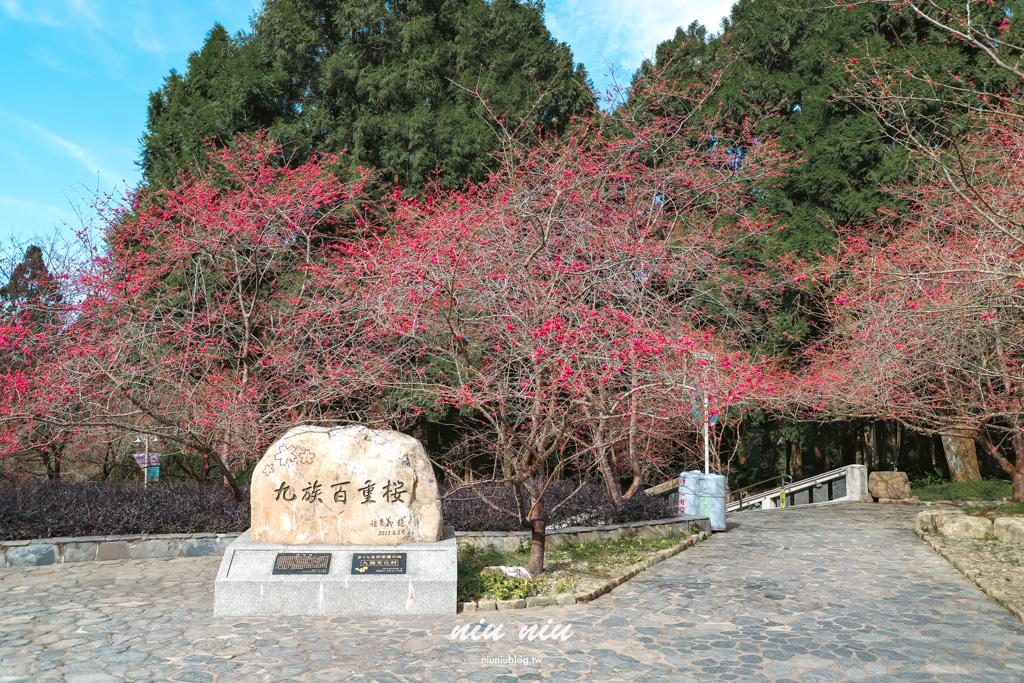 南投日月潭住宿推薦｜日月潭力麗溫德姆溫泉酒店，九族賞櫻野餐加門票纜車免費升等泡湯房型，還可以一路吃到12點的自然醒早午餐