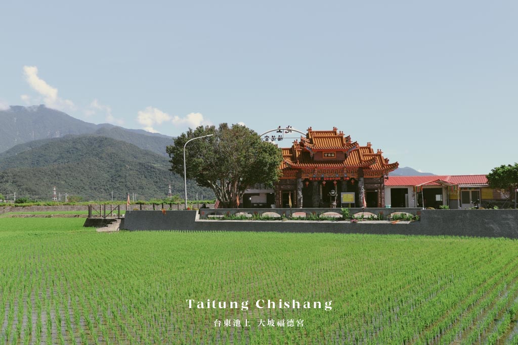 網站近期文章：台東池上福德宮泡麵土地公｜免費泡麵＋精品咖啡 還能唱卡拉OK！稻田鐵道風光超好拍