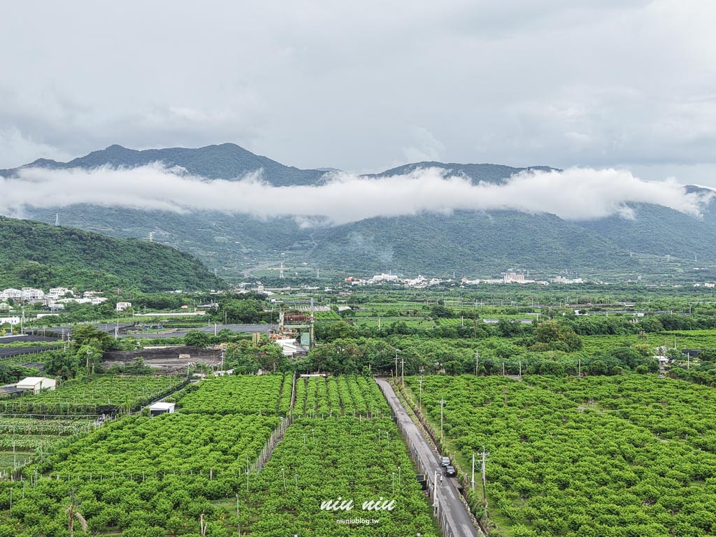 台東釋迦推薦｜太麻里美鳳釋迦人氣爆棚專賣店，網路直播現採現寄，明天立馬收到！把握台東大目釋迦當季的好滋味
