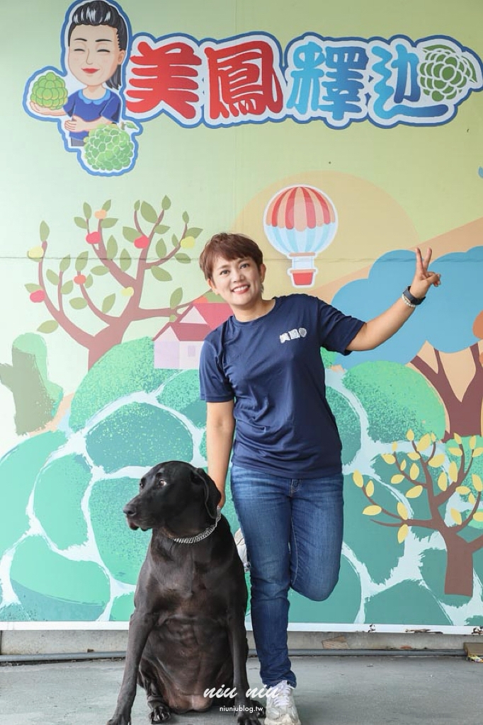 台東釋迦推薦｜太麻里美鳳釋迦人氣爆棚專賣店，網路直播現採現寄，明天立馬收到！把握台東大目釋迦當季的好滋味