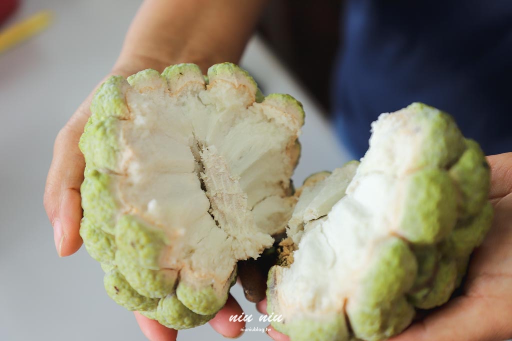 台東釋迦推薦｜太麻里美鳳釋迦人氣爆棚專賣店，網路直播現採現寄，明天立馬收到！把握台東大目釋迦當季的好滋味