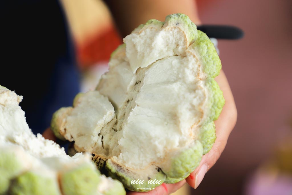 台東釋迦推薦｜太麻里美鳳釋迦人氣爆棚專賣店，網路直播現採現寄，明天立馬收到！把握台東大目釋迦當季的好滋味