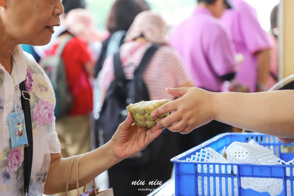 台東釋迦推薦｜太麻里美鳳釋迦人氣爆棚專賣店，網路直播現採現寄，明天立馬收到！把握台東大目釋迦當季的好滋味
