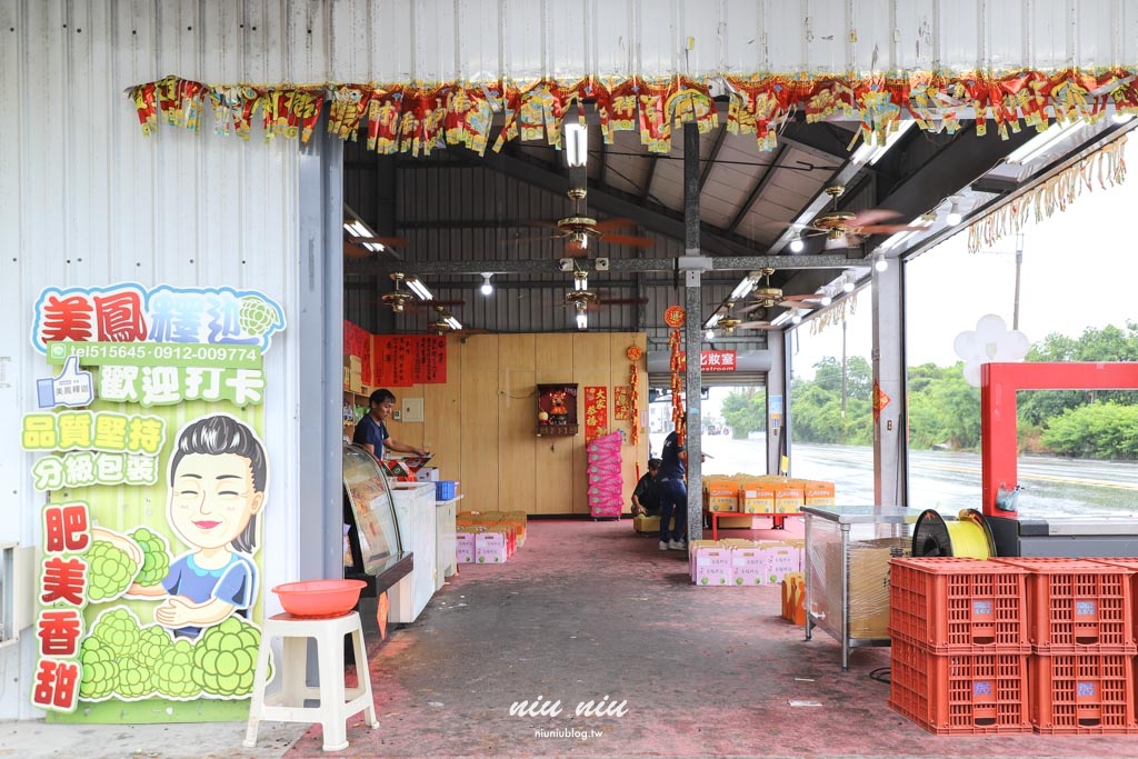 台東釋迦推薦｜太麻里美鳳釋迦人氣爆棚專賣店，網路直播現採現寄，明天立馬收到！把握台東大目釋迦當季的好滋味