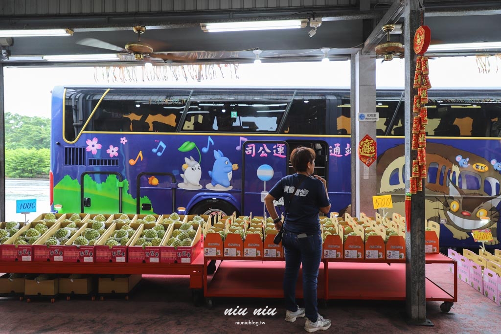 台東釋迦推薦｜太麻里美鳳釋迦人氣爆棚專賣店，網路直播現採現寄，明天立馬收到！把握台東大目釋迦當季的好滋味