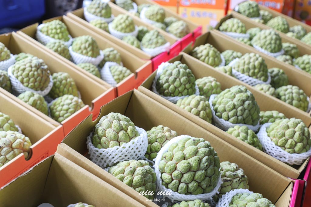 台東釋迦推薦｜太麻里美鳳釋迦人氣爆棚專賣店，網路直播現採現寄，明天立馬收到！把握台東大目釋迦當季的好滋味