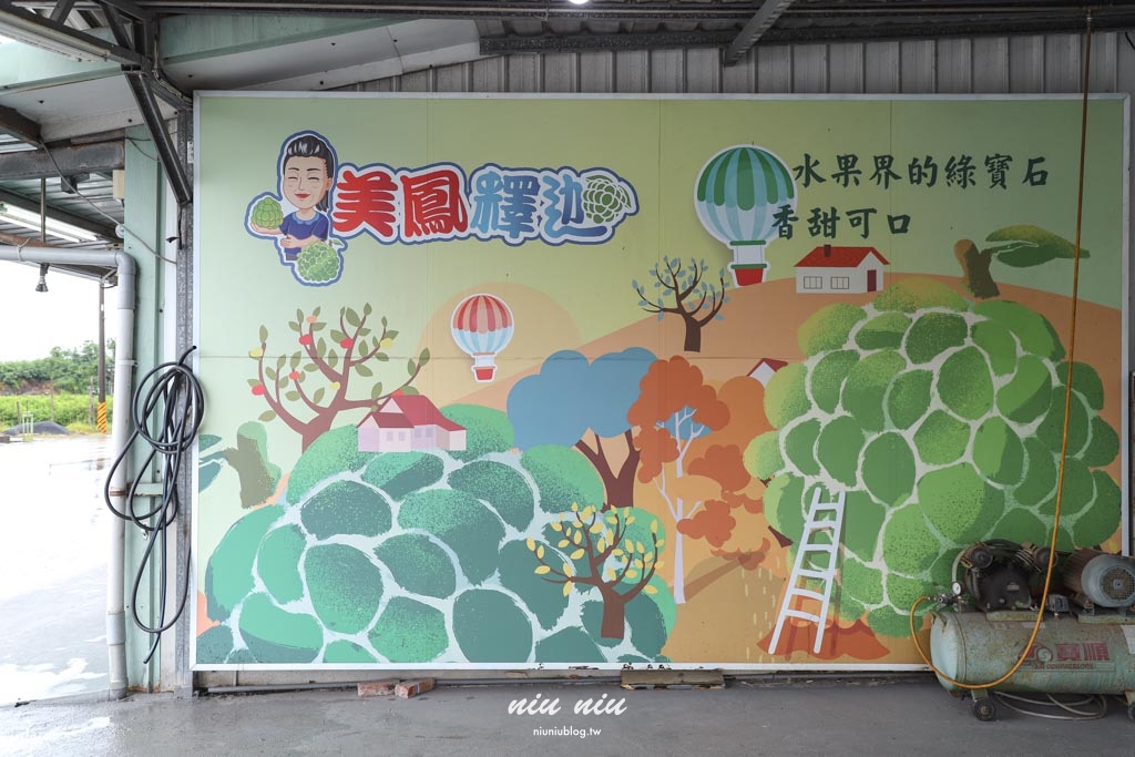台東釋迦推薦｜太麻里美鳳釋迦人氣爆棚專賣店，網路直播現採現寄，明天立馬收到！把握台東大目釋迦當季的好滋味