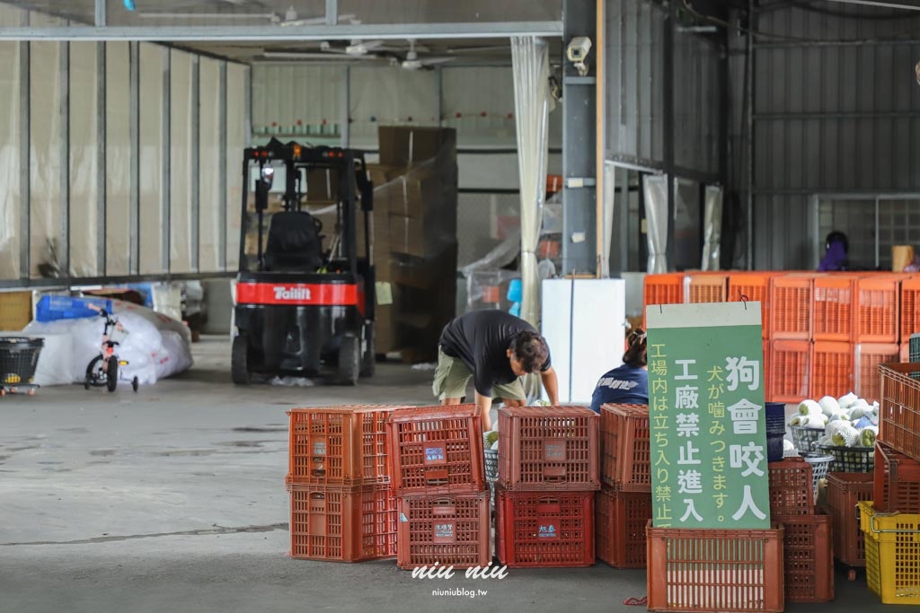 台東釋迦推薦｜太麻里美鳳釋迦人氣爆棚專賣店，網路直播現採現寄，明天立馬收到！把握台東大目釋迦當季的好滋味