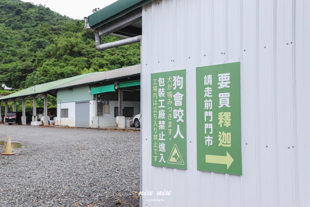 台東釋迦推薦｜太麻里美鳳釋迦人氣爆棚專賣店，網路直播現採現寄，明天立馬收到！把握台東大目釋迦當季的好滋味