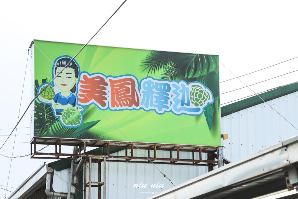 台東釋迦推薦｜太麻里美鳳釋迦人氣爆棚專賣店，網路直播現採現寄，明天立馬收到！把握台東大目釋迦當季的好滋味