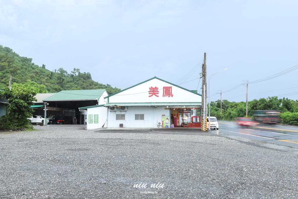 台東釋迦推薦｜太麻里美鳳釋迦人氣爆棚專賣店，網路直播現採現寄，明天立馬收到！把握台東大目釋迦當季的好滋味
