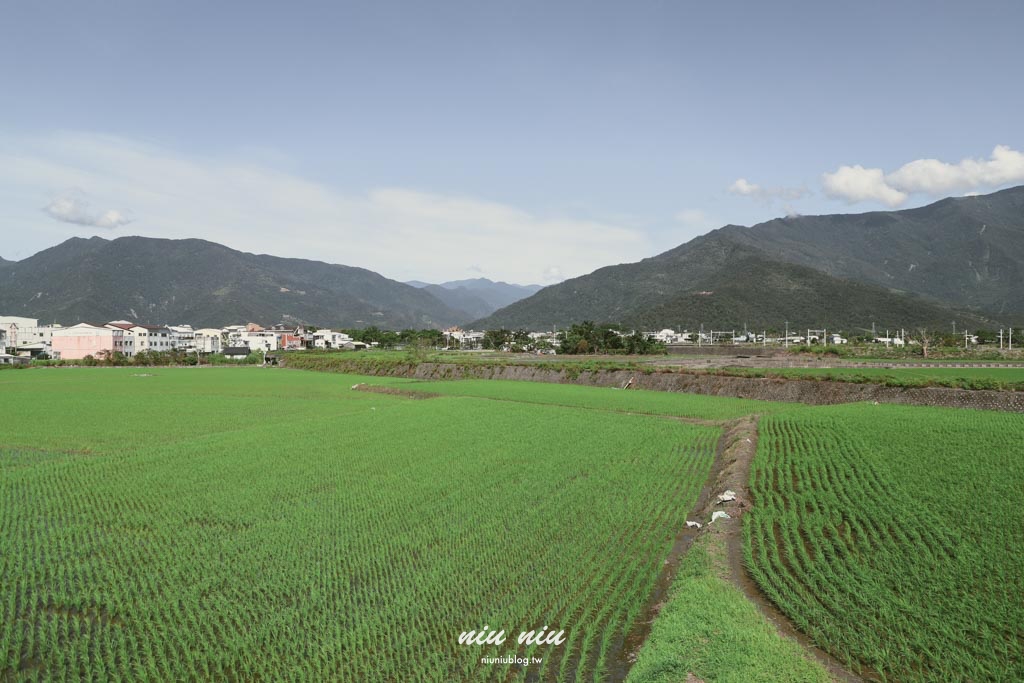 台東池上福德宮泡麵土地公｜免費泡麵＋精品咖啡 還能唱卡拉OK！稻田鐵道風光超好拍