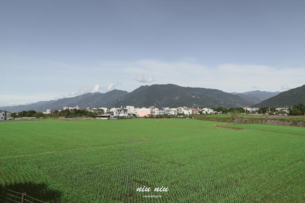 台東池上福德宮泡麵土地公｜免費泡麵＋精品咖啡 還能唱卡拉OK！稻田鐵道風光超好拍