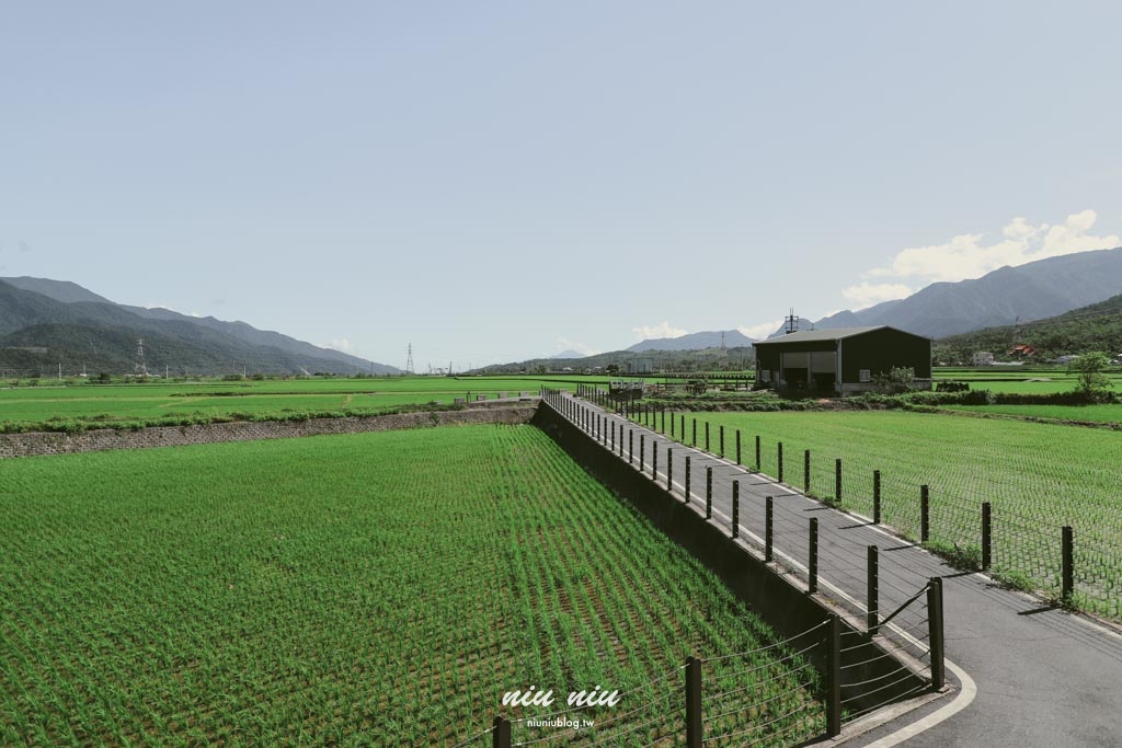 台東池上福德宮泡麵土地公｜免費泡麵＋精品咖啡 還能唱卡拉OK！稻田鐵道風光超好拍