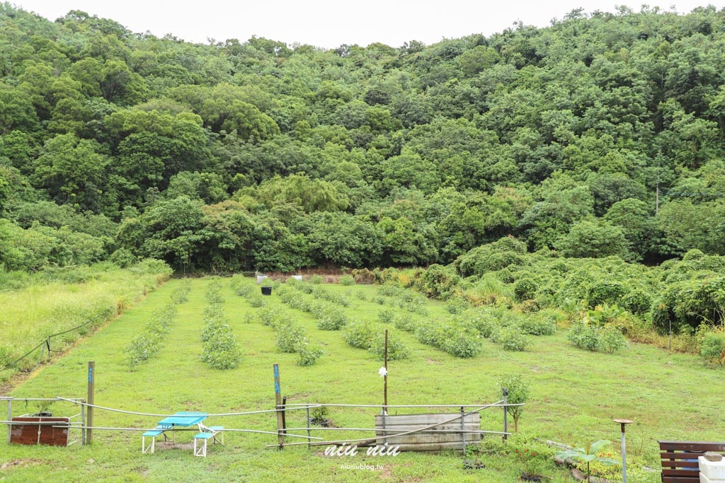 2025南方草草節工作坊｜大武溪流域：走進加羅板的漁獵文化體驗