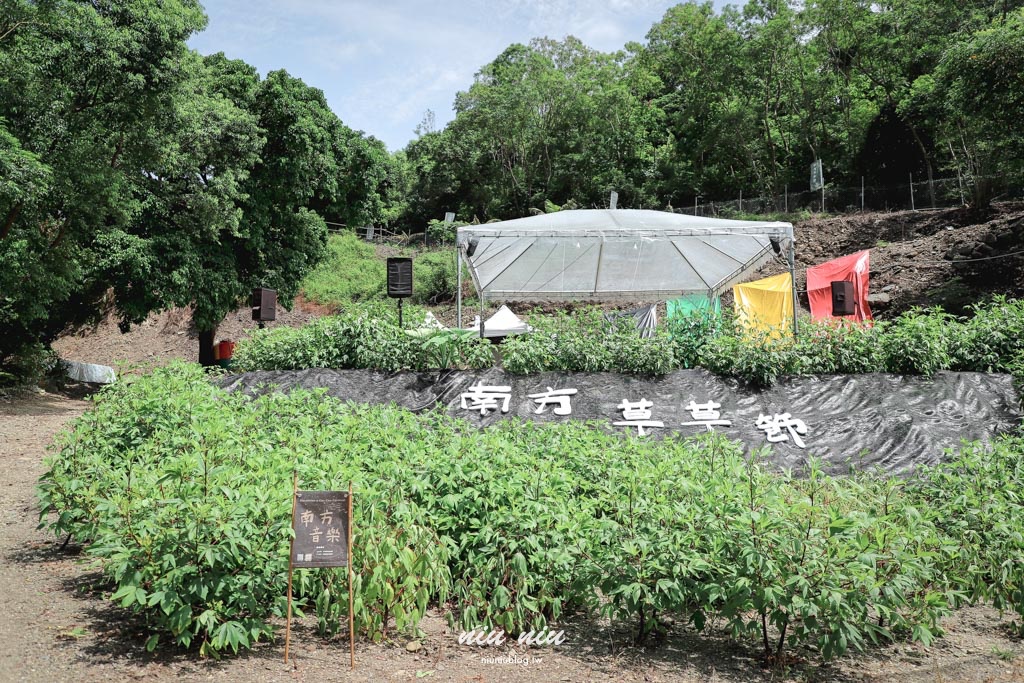 2025南方草草節完整指南｜台坂拉里吧部落深度走讀排灣文化，享受南島市集美食與音樂