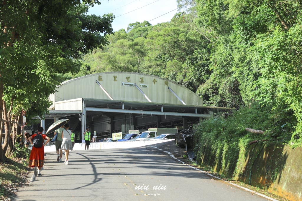 2025南方草草節完整指南｜台坂拉里吧部落深度走讀排灣文化，享受南島市集美食與音樂