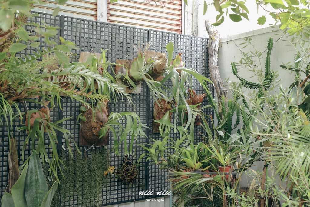 台東早午餐推薦｜草民Tsao Min：空軍眷村老宅改造的綠色空間，被植物包圍的療癒餐廳