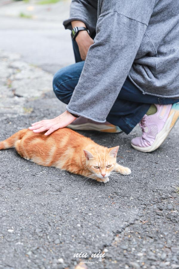 台東慢旅新玩法|日日南島兩天一夜深度體驗,品味在地早午餐、手作工藝與部落文化之旅 台東慢旅新玩法|日日南島兩天一夜深度體驗,品味在地早午餐、手作工藝與部落文化之旅