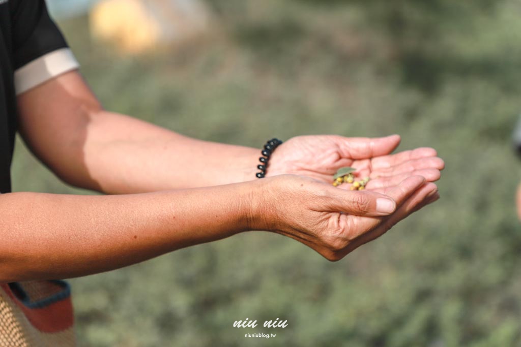 台東慢旅新玩法|日日南島兩天一夜深度體驗,品味在地早午餐、手作工藝與部落文化之旅 台東慢旅新玩法|日日南島兩天一夜深度體驗,品味在地早午餐、手作工藝與部落文化之旅