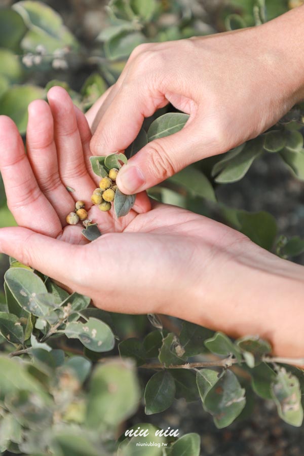 台東慢旅新玩法｜日日南島兩天一夜深度體驗，品味在地早午餐、手作工藝與部落文化之旅